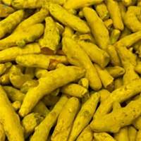 Premium Export Nizamabad Turmeric Finger