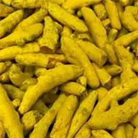 Premium Export Nizamabad Turmeric Finger