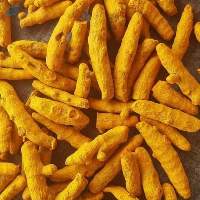 Premium Export Salem Turmeric Finger