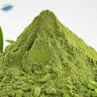 Organic And Conventional Moringa Powder