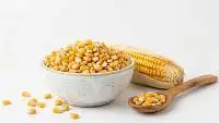 Non-GMO Verified Bread Grade Maize