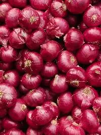 Premium Export Quality Fresh Red Onion