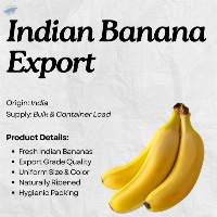 Indian Banana For Global Export