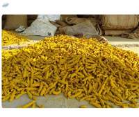  Selam Turmeric Finger 