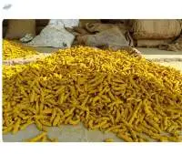  Selam Turmeric Finger 