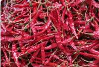 Teja Red Chilli