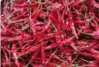 Teja Red Chilli