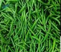 Fresh Green Chilli
