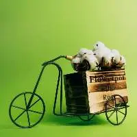 Gift Articles - 02