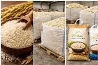 Basmati Rice (1121 / Traditional)
