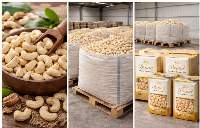Cashew Kernels (W320 / W450)