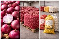 Onions (Fresh Vegetable / Bulbs)