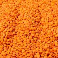 Masoor Dal (Red Lentils)