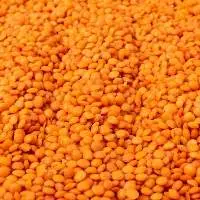 Masoor Dal (Red Lentils)