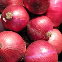 Onion
