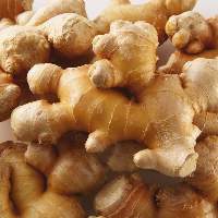 Ginger