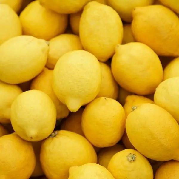 Lemon