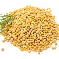 Mustard Seeds