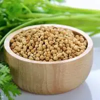 Coriander Seeds