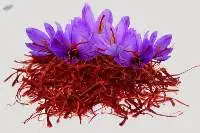 Saffron