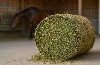 Horse Haylage