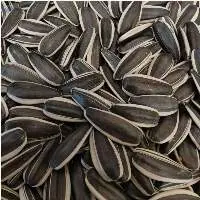 Raw Sunflower Seeds  