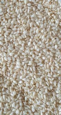 Hulled Sesame Seeds