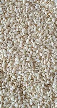Hulled Sesame Seeds