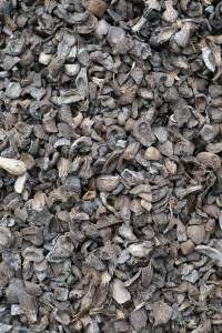 Palm Kernel Shell