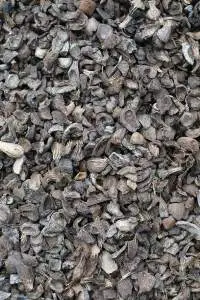 Palm Kernel Shell