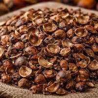 Palm Kernel Shell (PKS)