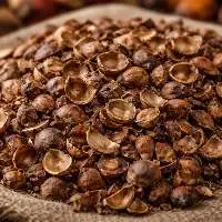 Palm Kernel Shell (PKS)