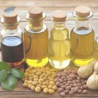 Refined Edible Oil