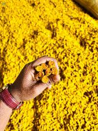 Indian Turmeric Finger (Unpolished / Polished)