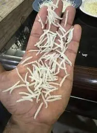 Indian Basmati Rice (1121 / 1509)