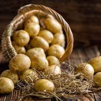 Potatoes