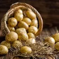 Potatoes