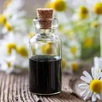 Egyptian Blue Chamomile Oil