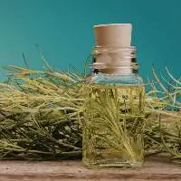 Rosemary Oil