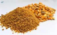 DDGS Maize