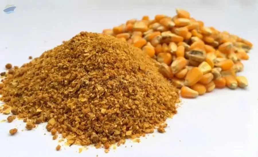 DDGS Maize