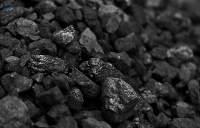 Coal