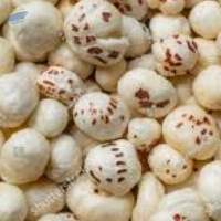 Fox Nut