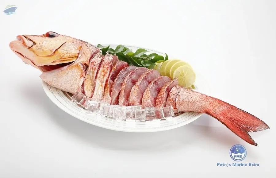 Chilled Red Snapper