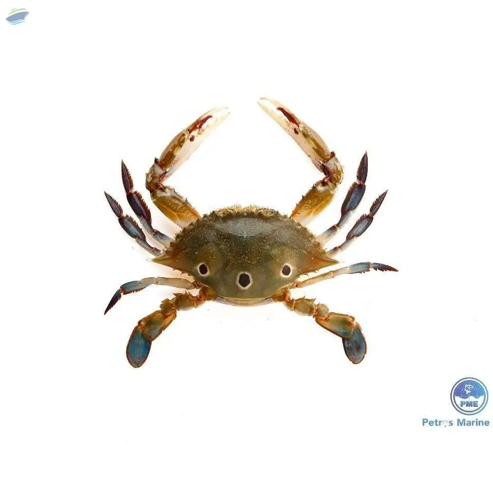 Three Spotted Crab