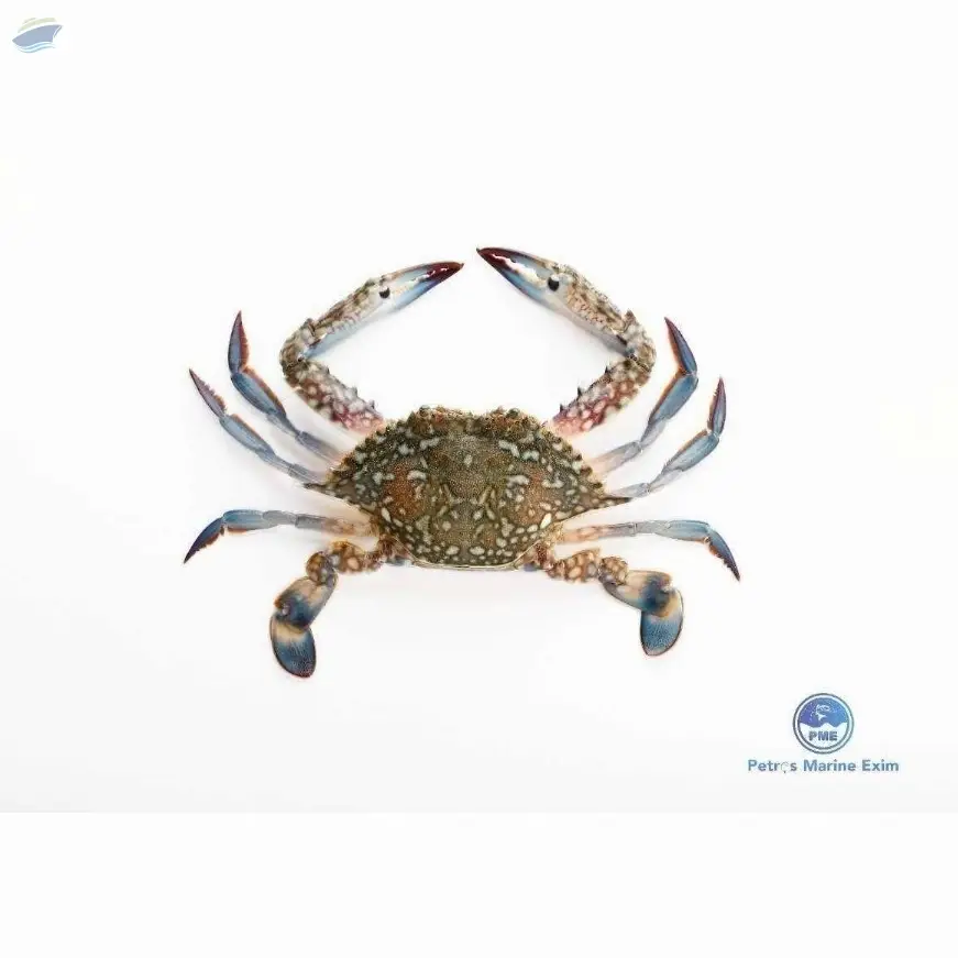 Chilled Blue Crab