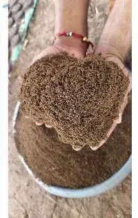 Organic And Naturally Processed Cow Dung