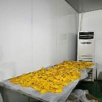 Dried Mango Products