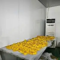 Dried Mango Products