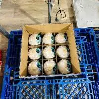 Fresh Coconut